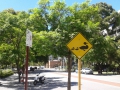 Perth 10