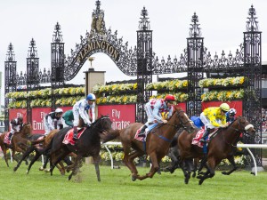 Melbourne Cup se běží na dostihové dráze ve Flemingtonu.